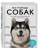 Все породы собак. Большая иллюстрированная энциклопедия- купить в магазине Кассандра, 9785041130626, Все породы собак. Большая иллюстрированная энциклопедия- купить в магазине Кассандра, фото, 9785041130626,