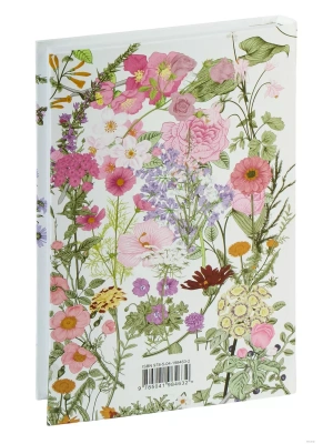 Аня и Долина Радуг (книга #7)- купить в магазине Кассандра, фото, 9785041984632, 