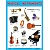Плакаты (англ). Musical Instruments (Музыкальные инструменты) - купить в магазине Кассандра, фото, 9785431510069, 