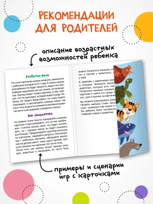 Развивающие карточки. Животные- купить в магазине Кассандра, фото, 9785431535437, 