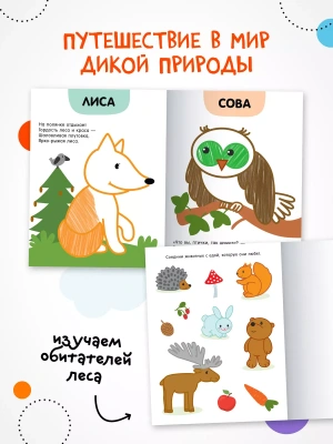 Раскраски с цветным контуром. В лесу- купить в магазине Кассандра, фото, 9785431537509, 