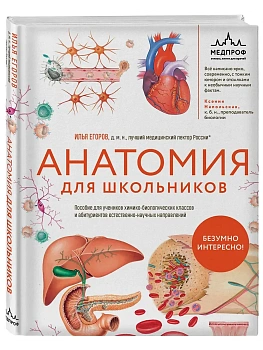 Анатомия для школьников. Пособие для учеников химико-биологических классов и абитуриентов естественно-научных направлений - купить в магазине Кассандра, фото, 9785042209062, 