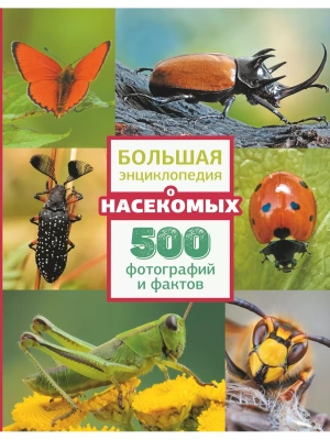 Большая энциклопедия о насекомых. 500 фотографий и фактов- купить в магазине Кассандра, фото, 9785171477585, 