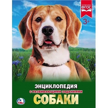 Энциклопедия.СОБАКИ - купить в магазине Кассандра, фото, 9785506023364, 