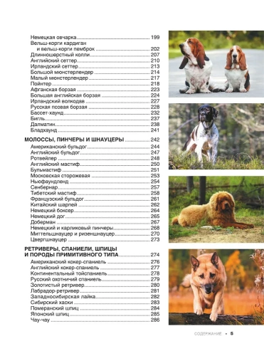 Большая книга о кошках и собаках. 1001 фотография- купить в магазине Кассандра, фото, 9785171576318, 