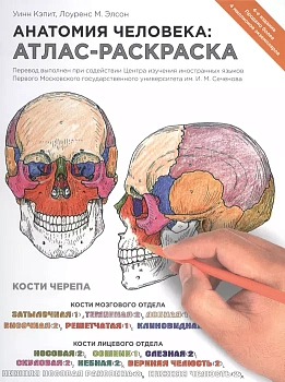 Анатомия человека: атлас-раскраска - купить в магазине Кассандра, фото, 9785699715060, 
