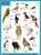 Плакаты (англ). BIRDS (Птицы)- купить в магазине Кассандра, фото, 9785431508653, 