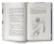 Никогде- купить в магазине Кассандра, 9785171006167, Никогде- купить в магазине Кассандра, фото, 9785171006167,