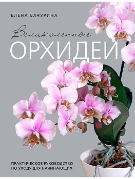 Великолепные орхидеи. Практичное руководство по уходу для начинающих - купить в магазине Кассандра, фото, 9785041994457, 