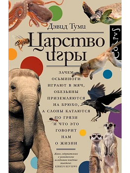 Царство игры - купить в магазине Кассандра, фото, 9785171667894, 
