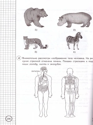 ВПР. ФИОКО. СТАТГРАД. Окружающий мир 4 класс 25 вариантов ТЗ. ФГОС- купить в магазине Кассандра, фото, 9785377188087, 