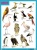 Плакаты (англ). BIRDS (Птицы)- купить в магазине Кассандра, фото, 9785431508653, 