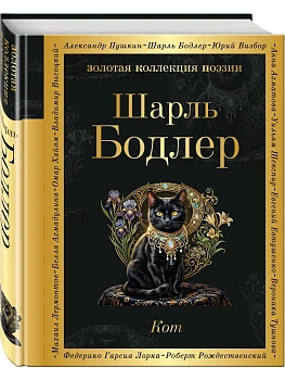 Кот - купить в магазине Кассандра, фото, 9785042359699, 