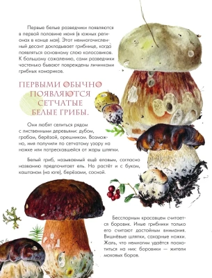Грибы в лесу- купить в магазине Кассандра, фото, 9785171483005, 