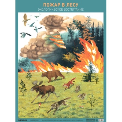 Плакат.Пожар в лесу- купить в магазине Кассандра, фото, 9785431527074, 