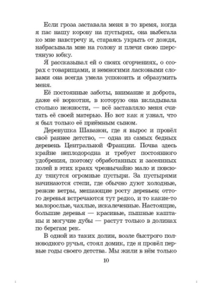Без семьи- купить в магазине Кассандра, фото, 9785080070679, 
