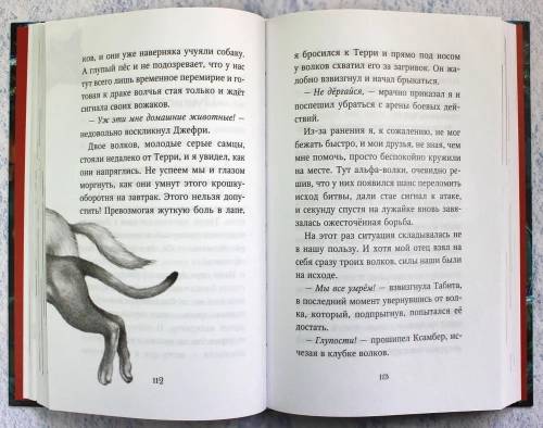Караг и волчье испытание (#7)- купить в магазине Кассандра, фото, 9785041230616, 