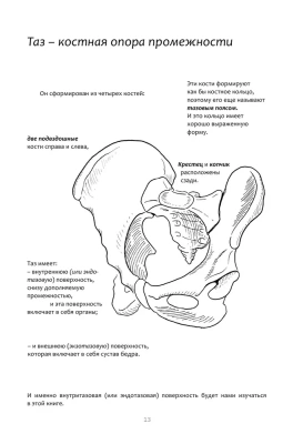 Книга упражнений для прокачки мышц тазового дна. Французская система полного физического восстановления для женщин- купить в магазине Кассандра, фото, 9785041870683, 