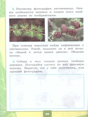 Окружающий мир 1 класс Плешаков. Тетрадь для практических раб. №1. С дневником набл. ФГОС НОВЫЙ (к новому у- купить в магазине Кассандра, фото, 9785377199199, 