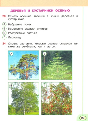 ПШ. Окружающий мир 2 класс Плешаков. Тесты. 2023.- купить в магазине Кассандра, фото, 9785090963053, 