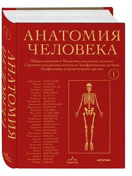 Анатомия человека. Эксклюзивное издание с 50-летней историей. Том 1 - купить в магазине Кассандра, фото, 9785042150418, 