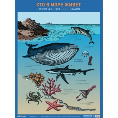 Плакат.Кто в море живет- купить в магазине Кассандра, фото, 9785431527043, 