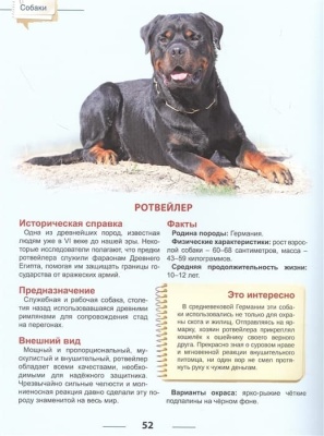 Собаки. Энциклопедия для детей- купить в магазине Кассандра, фото, 9785378321087, 