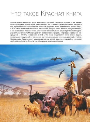 Большая красная книга. 1001 фотография- купить в магазине Кассандра, фото, 9785171578947, 