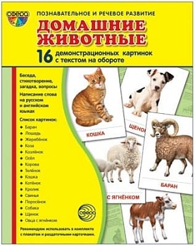 Дем. картинки СУПЕР Домашние животные.16 демонстр.картинок с текстом(173х220мм) - купить в магазине Кассандра, фото, 9785994909836, 