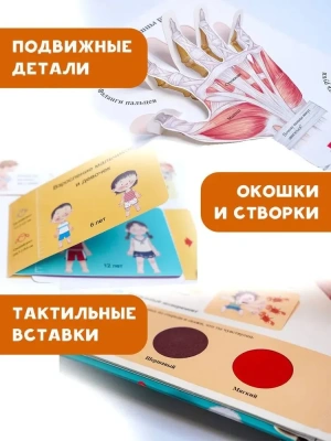 Все секреты человека- купить в магазине Кассандра, фото, 9785171543556, 