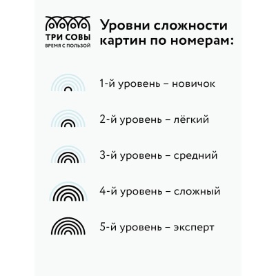 Картина по номерам на холсте ТРИ СОВЫ "Сладкие абрикосы", 30*40, с акриловыми красками и кистями- купить в магазине Кассандра, фото, 4680211421335, 