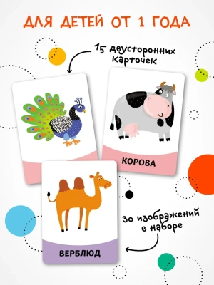 Развивающие карточки. Животные- купить в магазине Кассандра, фото, 9785431535437, 
