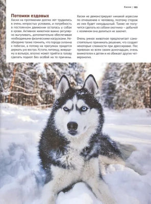 Все породы собак. Большая иллюстрированная энциклопедия- купить в магазине Кассандра, фото, 9785041130626, 