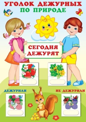 Уголок дежурных по природе с карточками. А3 (девочка с мальчиком)- купить в магазине Кассандра, фото, 9785994920664, 